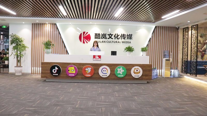 抖音媒介投放流程步骤详解：从策略制定到效果评估