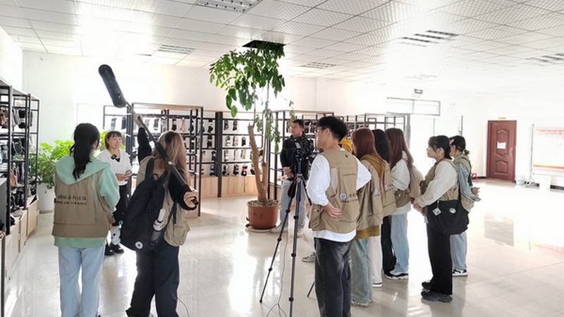 MG动画与Flash：专业选择背后的技术解析