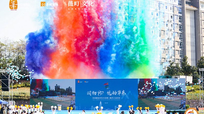 了解VI设计合同终止条款，避免潜在风险